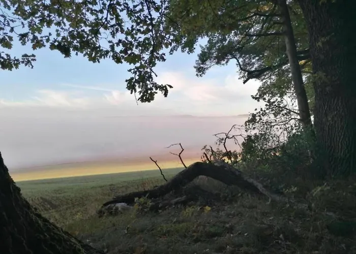 In Loewensen Mit Eigener Terrasse Bad Pyrmont