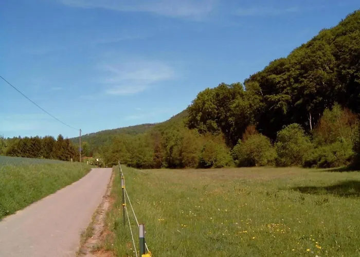 In Loewensen Mit Eigener Terrasse Bad Pyrmont