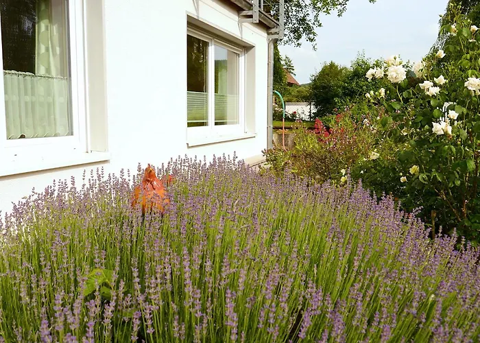 In Loewensen Mit Eigener Terrasse